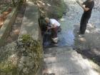 SUK_2011_033