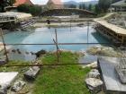 SUK_2011_040