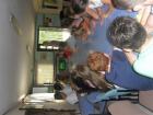 SUK_2011_068