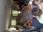 SUK_2011_069