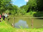 SUK_2011_078
