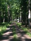 IMG_0746_360x480