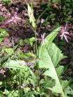 IMG_0749_360x480