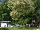 IMG_0768_640x480