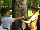 IMG_0788_640x480