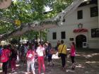 IMG_1068_640x480