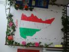 ALIM2981_640x480