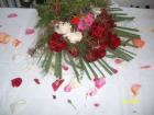 ALIM3108_640x480