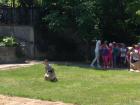 IMG_3505_640x480