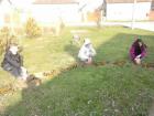 CAM00774_640x480