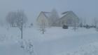 20170120_094100_800x450