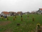 DSCN3046_640x480