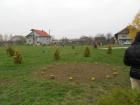 DSCN3047_640x480