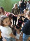 IMG_20191007_165606_720x960