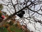 IMG-1322