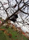 IMG-1324