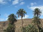 IMG-20191119-WA0006_1600x1200