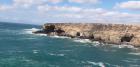 IMG-20191119-WA0019_1600x777