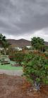IMG-20191119-WA0031_583x1200