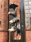 IMG-20191203-WA0020