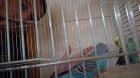 IMG-094381317b334e2cb3ff01c11daec272-V