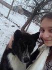 IMG-D6a246ad9e9b20c9179124c715e74e6b-V