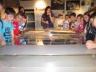 IMG_7369_640x480