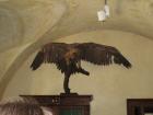 IMG_7371_640x480