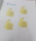 DSCN0431_424x480