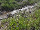Velebit -Bake Otarije (23)_640x480