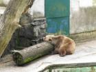 Zg-ZOO (13)_640x480
