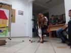P6140478_640x480