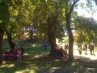 IMG_1297_640x480