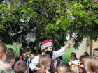 pijun Vrbuje Nove lanove