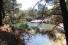 Lokrum
