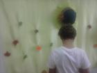 CAM00528