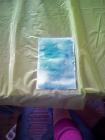 IMG_20170322_083736 (2)