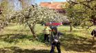 IMG-100bc2f4be234d999531c2c4186b5c8e-V