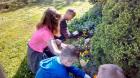 IMG-439fa110813c946f6c0a57cc51cd8bcb-V
