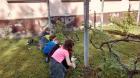 IMG-4dbe35c42c9ce63c160f536b5d282063-V