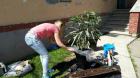 IMG-14bfcda6f9bd67a045a697d28e021448-V