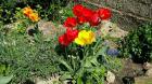 IMG-5944ea1d15225352da642e980955e4b1-V