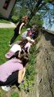 IMG-891f435a9d612b2191dfe8f1f9b60af8-V