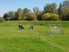 IMG-71d348ca02e7e3a9b4822054ef3b3c32-V