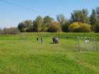 IMG-B6618b36393c8fa4899b8ad89693c0c6-V