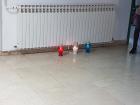 IMG-A30792a65b368bcadf28bd22337e4b32-V