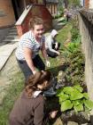 IMG-0a2f3314a88388dfb621bddb0c5cb7eb-V