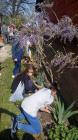 IMG-605eef05829871e2f4172ad77f3dfa30-V