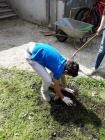 IMG-D9ed3fe9e6dc5976fc7f65eb7433dad9-V