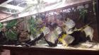 IMG-1c449e6524b103630d501e4758deb533-V